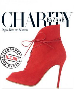 harpers-bazaar-charity