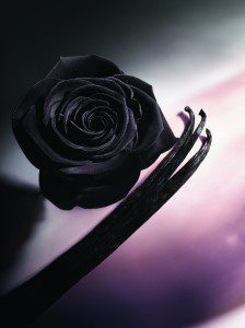 lnt-black-rose-vanilla