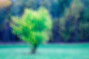 Vymyka se stereotypu II. (14 of 34)