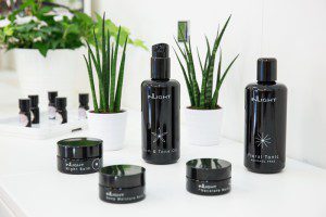 TIQE CONCEPT STORE_INLIGHT