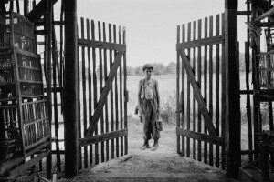 AA003 - © Jan Dobrovský